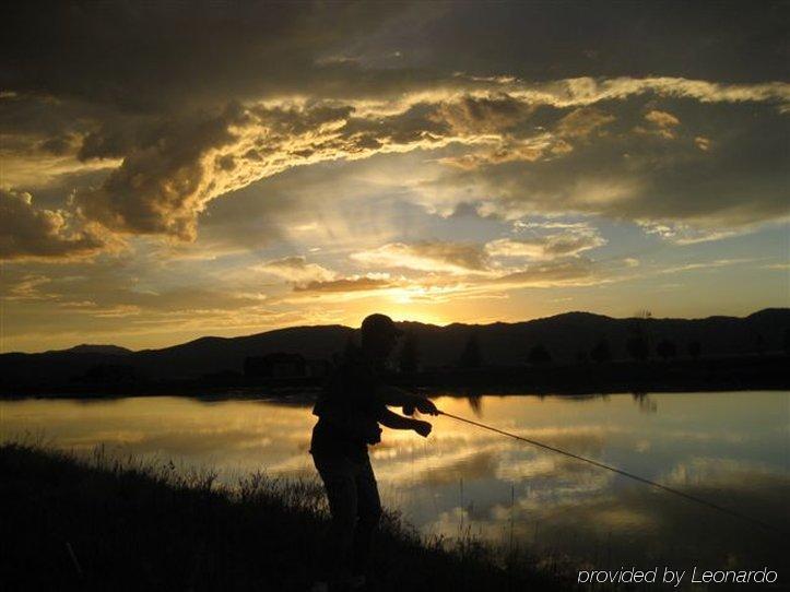 The At Bronze Buffalo Ranch *