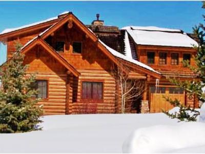 The At Bronze Buffalo Ranch *